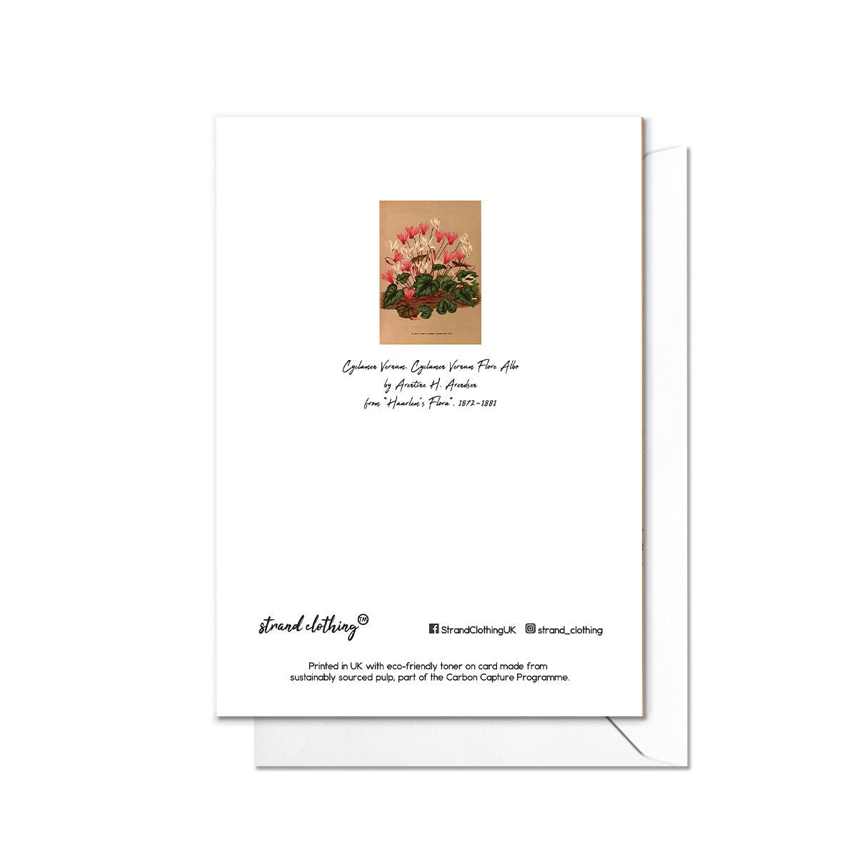 Cyclamen Antique Botanical Greeting Card Birthday Floral Art with Envelope Valentines Flowers Vintage Primula Victorian Beautiful Pretty Y61