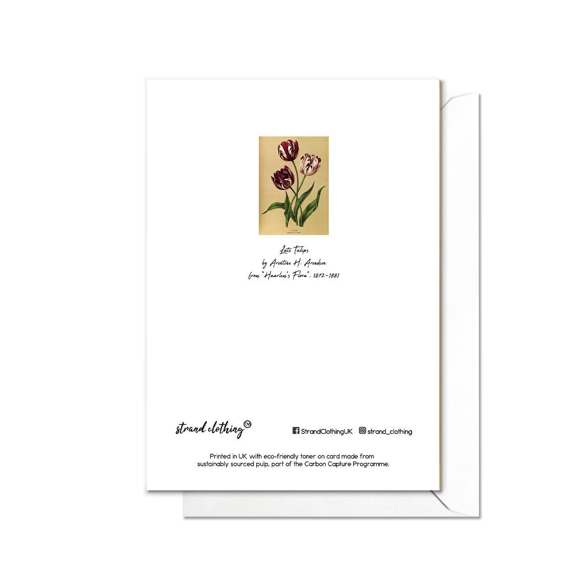 Tulips Antique Botanical Greeting Card Birthday Floral Art with Envelope Valentines Flowers Vintage Purple Victorian Beautiful Pretty - T01