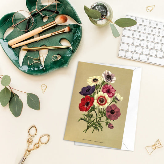 Anemone Poppy Antique Botanical Greeting Card Birthday Floral Art with Envelope Valentines Coronaria Flowers Vintage Victorian Beautiful A19