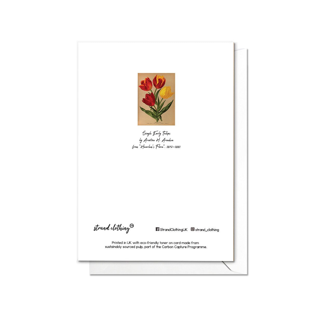 Tulips Antique Botanical Greeting Card Birthday Floral Art with Envelope Valentines Flowers Red Yellow Tulip Vintage Victorian Beautiful T07