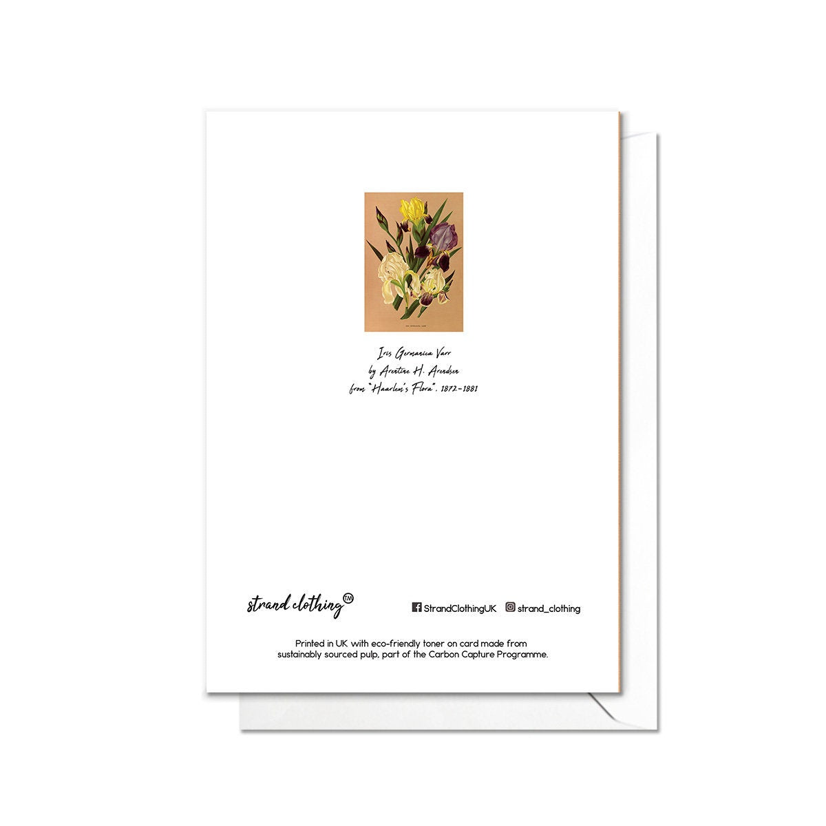 Iris Flower Antique Botanical Greeting Card Birthday Floral Art with Envelope Valentine Vintage Victorian Beautiful Arentine H Arendsen R12