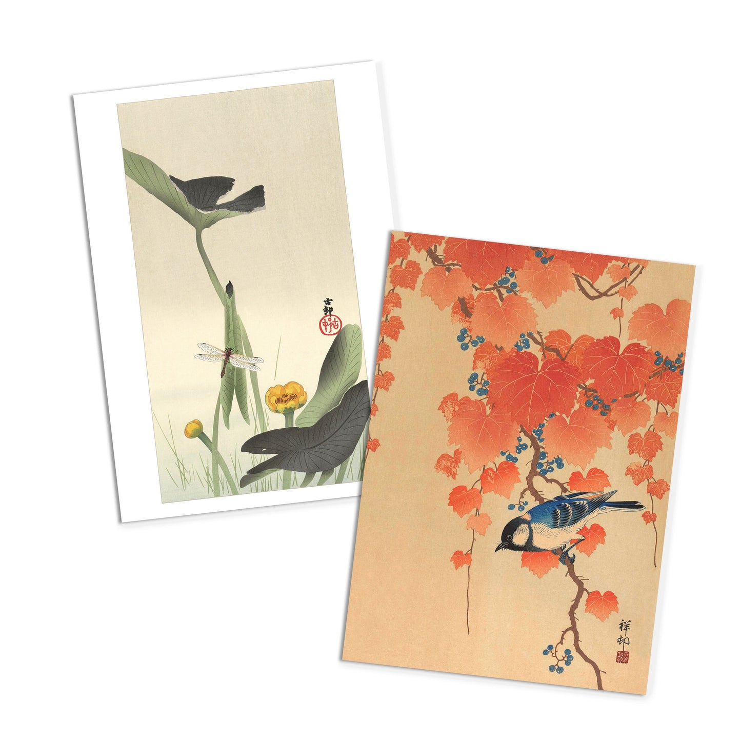 Japanese Ukiyo-e Art Postcards Set of 10 - Postcard Prints Pack Woodblock Art Print Aesthetic Ohara Koson Shoson Flowers Hawk Fox Cards Gift