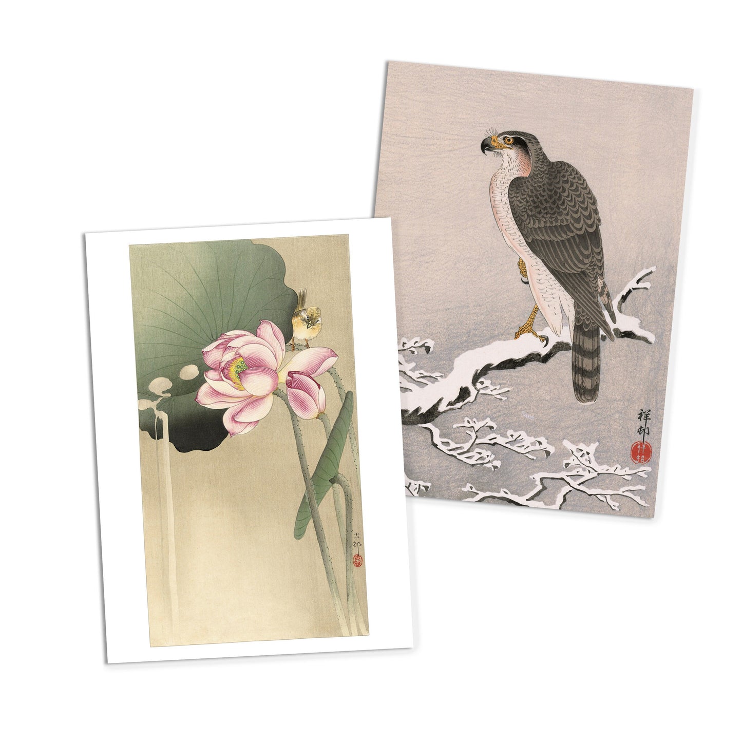 Japanese Ukiyo-e Art Postcards Set of 10 - Postcard Prints Pack Woodblock Art Print Aesthetic Ohara Koson Shoson Flowers Hawk Fox Cards Gift