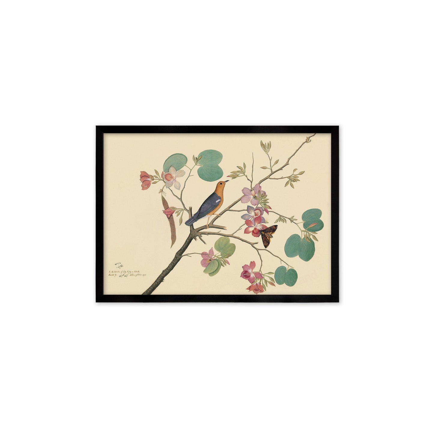 Framed Mounted Indian Jujube Tree Art Vintage Print Poster Antique Sheikh Zain al-Din Painting Nature Birds Butterflies Georgian Victorian