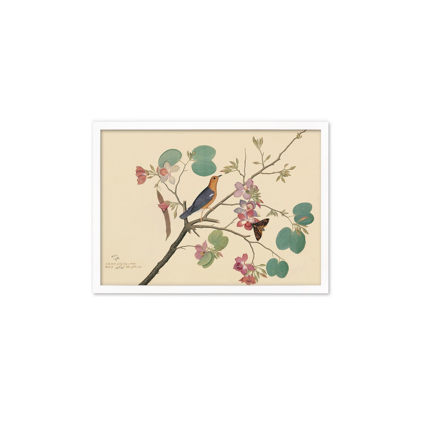 Framed Mounted Indian Jujube Tree Art Vintage Print Poster Antique Sheikh Zain al-Din Painting Nature Birds Butterflies Georgian Victorian
