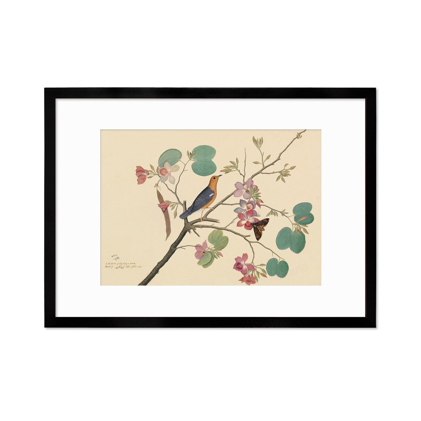 Framed Mounted Indian Jujube Tree Art Vintage Print Poster Antique Sheikh Zain al-Din Painting Nature Birds Butterflies Georgian Victorian