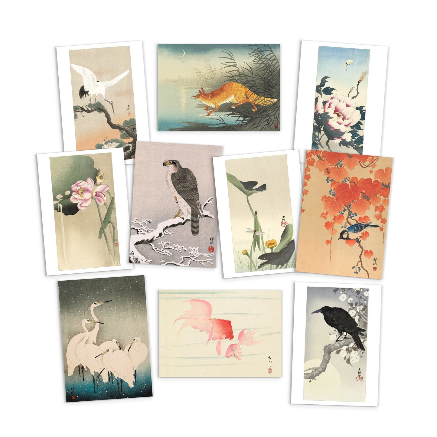 Japanese Ukiyo-e Art Postcards Set of 10 - Postcard Prints Pack Woodblock Art Print Aesthetic Ohara Koson Shoson Flowers Hawk Fox Cards Gift