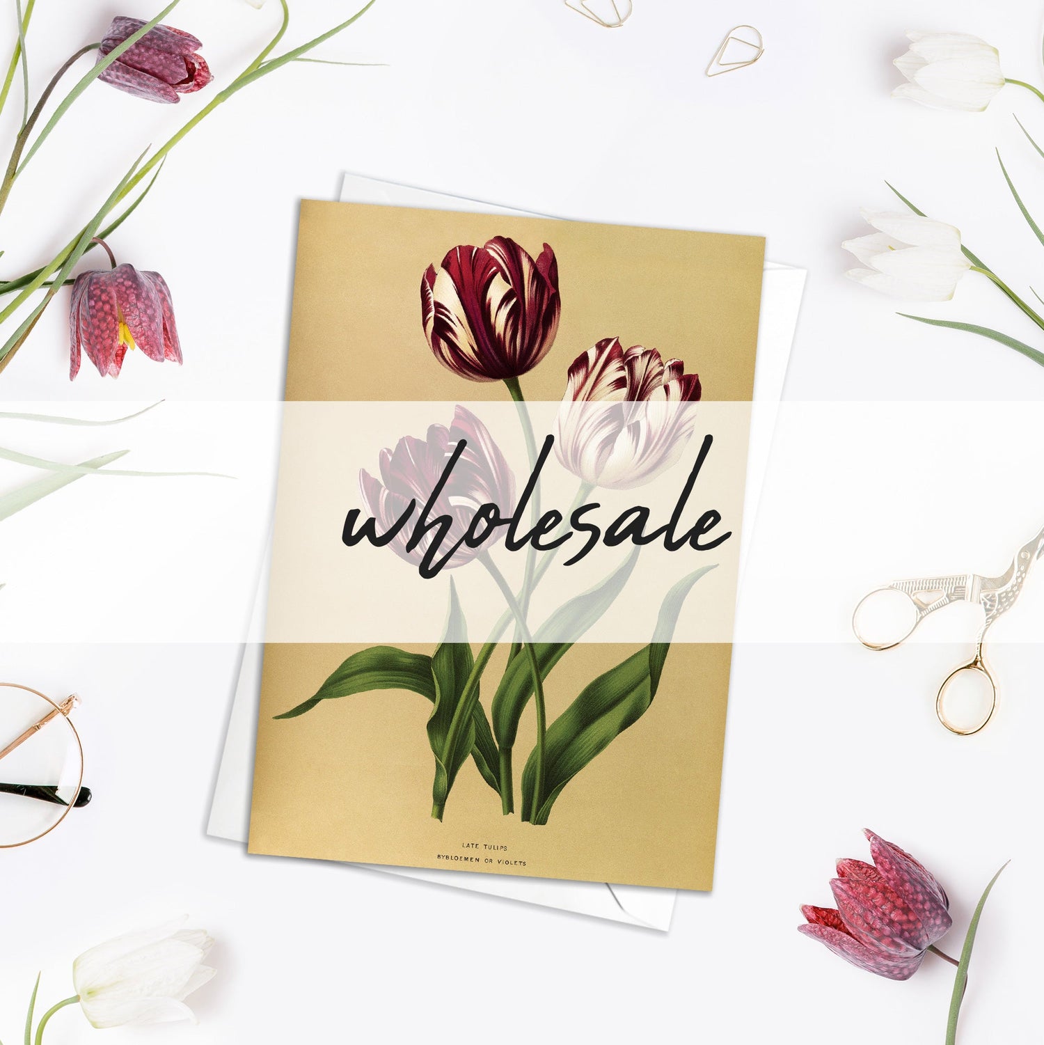 Wholesale - All Occasion Cards - Single