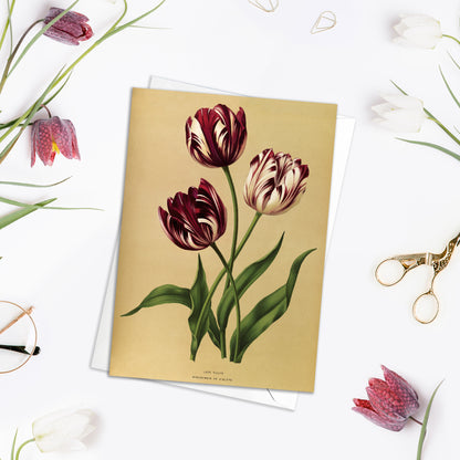 Set of 10 Antique Botanical Greeting Cards – Vintage Floral Art for Birthdays & All Occasions