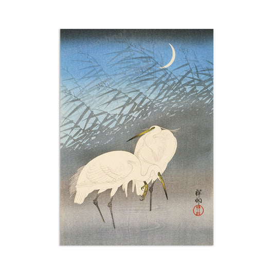 Japanese Ukiyo-e Art Print Poster Woodblock Wall Art Koson Shoson Heron Crane Egret Bird Tattoo Beautiful Japan Calligraphy Nature Calm A3