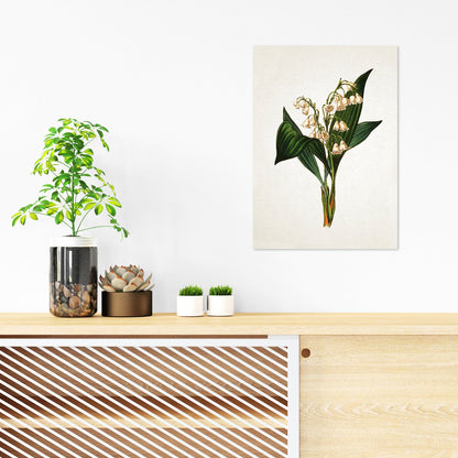 Antique Botanical Art Print Poster Vintage Wall Art Flowers Floral Lily Of The Valley Nature Leaf Plant Illustration Victorian Beautiful A3