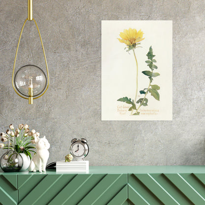 Antique Botanical Art Print Poster Vintage Wall Art Flowers Floral Nature Drawing Leaf Plant Illustration Victorian Edwardian Beautiful A3