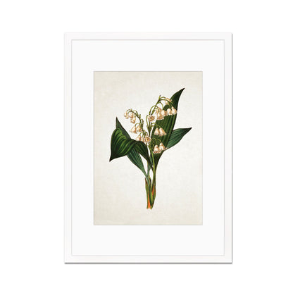 Framed Mounted Antique Botanical Art Print Poster Vintage Wall Flowers Floral Lily Of The Valley Nature Leaf Plant Illustration Victorian