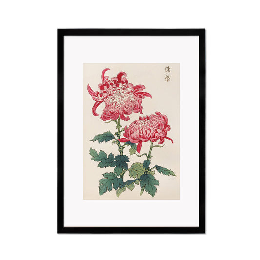 Framed Mounted Japanese Ukiyo-e Wall Art Print Poster Woodblock Keika Hasegawa Chrysanthemums Flowers Landscape Tattoo Beautiful Calligraphy