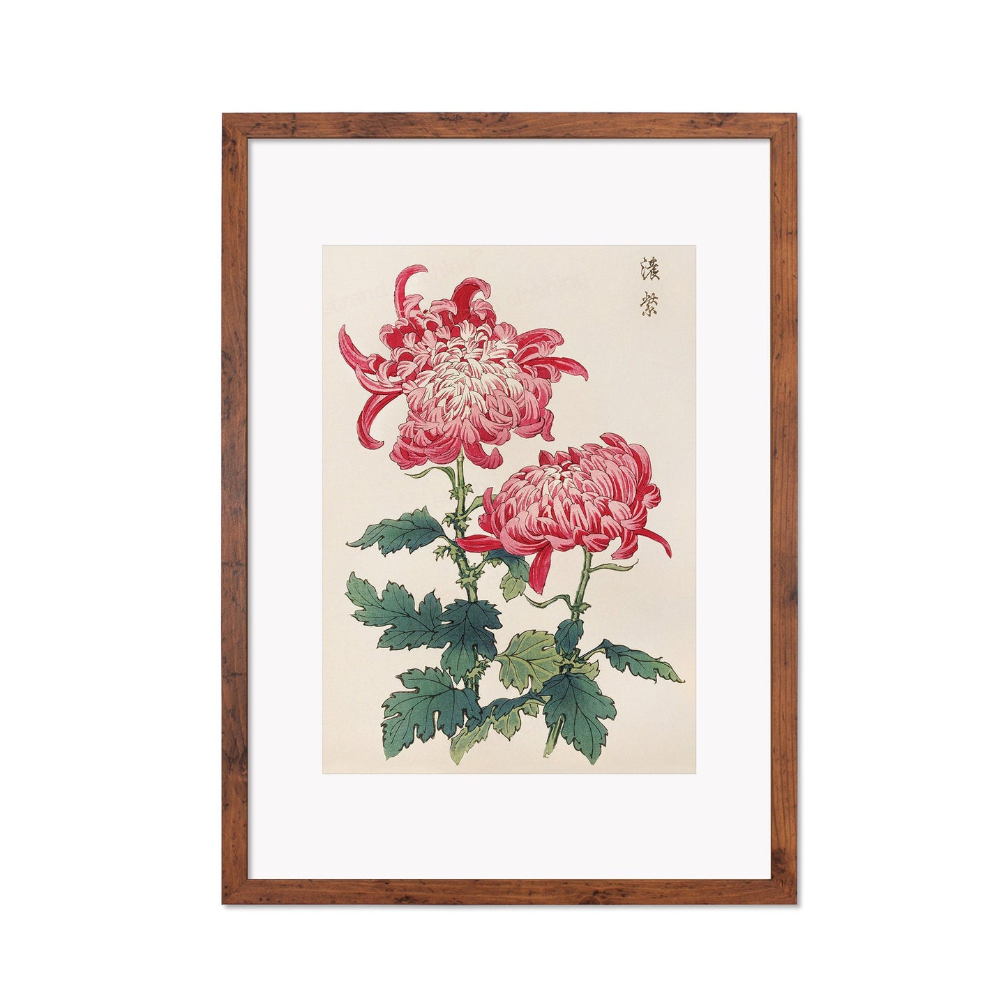 Framed Mounted Japanese Ukiyo-e Wall Art Print Poster Woodblock Keika Hasegawa Chrysanthemums Flowers Landscape Tattoo Beautiful Calligraphy