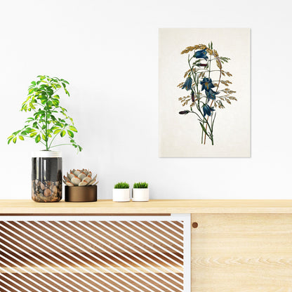Antique Botanical Art Print Poster Vintage Wall Art Flowers Floral Bluebell Harebell Nature Leaf Plant Illustration Victorian Beautiful A3