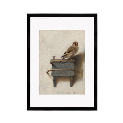 Framed Mounted The Goldfinch Vintage Art Print Poster Wall Decor Antique Carel Fabritius Painting Het Puttertje Birds Nature Dutch Beautiful