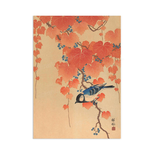 Japanese Ukiyo-e Art Print Poster Woodblock Wall Art Koson Shoson Great Tit Maple Leaves Ivy Paulownia Bird Beautiful Kacho-e Calligraphy A3