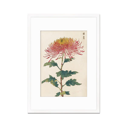 Framed Mounted Japanese Ukiyo-e Wall Art Print Poster Woodblock Keika Hasegawa Chrysanthemums Flowers Landscape Nature Beautiful Calligraphy