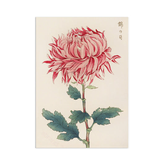 Japanese Ukiyo-e Art Print Poster Woodblock Wall Art Keika Hasegawa Chrysanthemums Flowers Landscape Floral Beautiful Japan Calligraphy A3