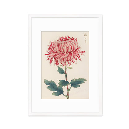 Framed Mounted Japanese Ukiyo-e Wall Art Print Poster Woodblock Keika Hasegawa Chrysanthemums Flowers Landscape Nature Beautiful Calligraphy