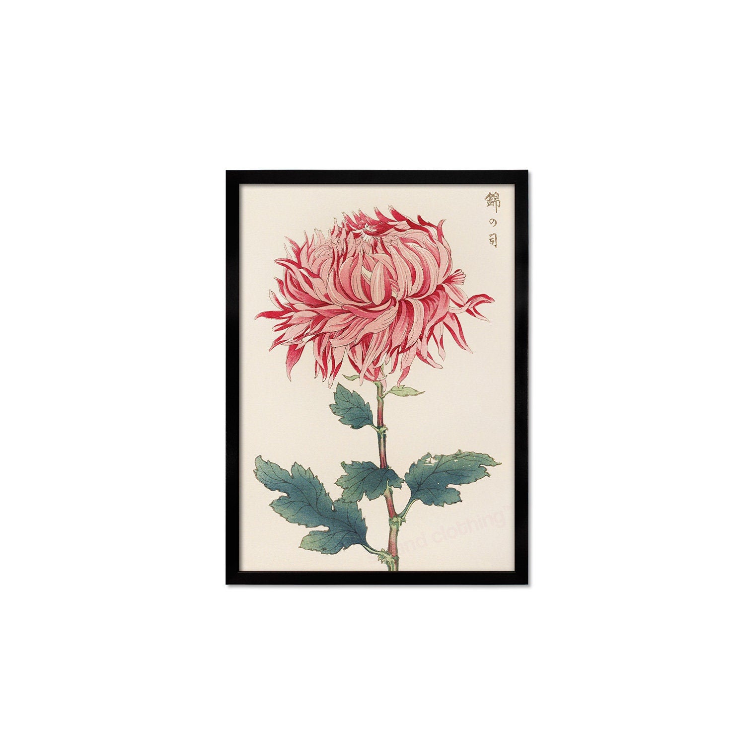 Framed Mounted Japanese Ukiyo-e Wall Art Print Poster Woodblock Keika Hasegawa Chrysanthemums Flowers Landscape Nature Beautiful Calligraphy