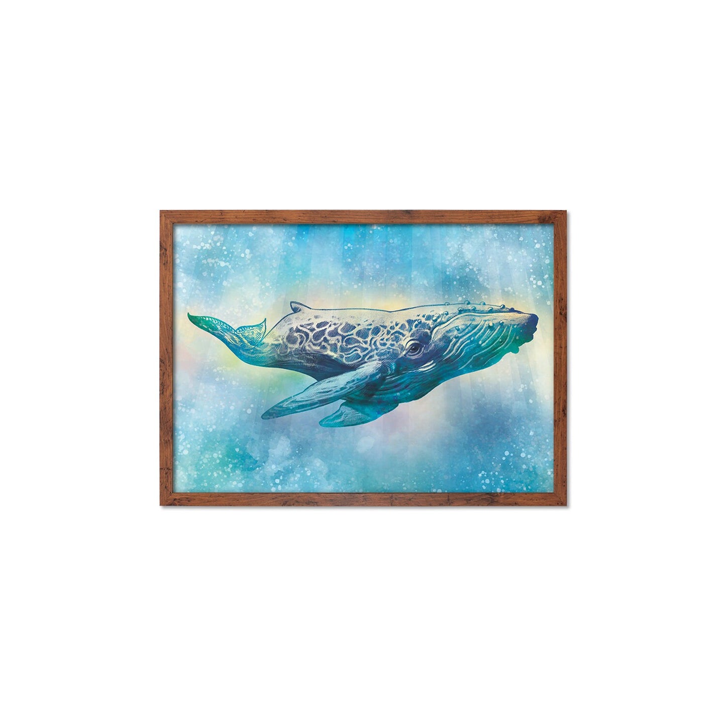 Humpback Whale Art Print Poster Wall Decor Framed Mounted Watercolour Pencil Drawing Frame Sea Orca Dolphin Ocean Nature Planet Earth A3 A2