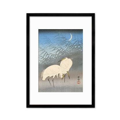 Japanese Art Egrets Cranes Framed Mounted Ukiyo-e Wall Decor Print Poster Woodblock Koson Shoson Heron Bird Calligraphy Beautiful Haiku Cute