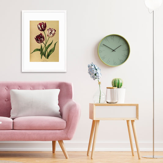 Tulips Framed Mounted Wall Art Decor Print Poster Botanical Antique Vintage Old Victorian Illustration Nature Plant Beautiful Flowers Purple