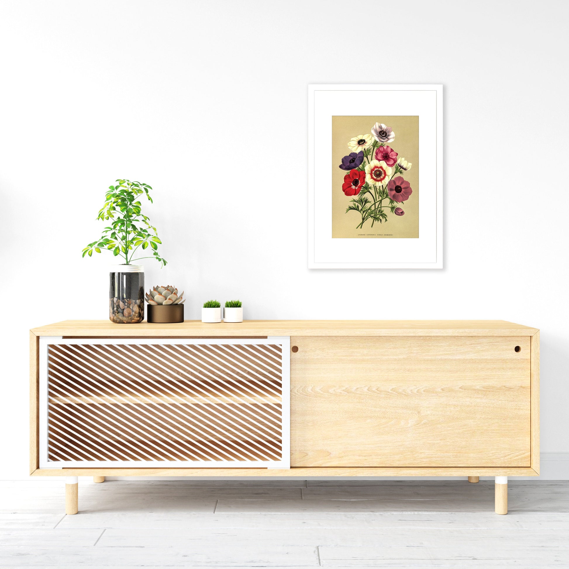 Anemone Framed Mounted Wall Art Decor Print Poster Botanical Antique Vintage Retro Victorian Illustration Nature Garden Beautiful Flowers