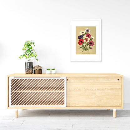 Anemone Framed Mounted Wall Art Decor Print Poster Botanical Antique Vintage Retro Victorian Illustration Nature Garden Beautiful Flowers
