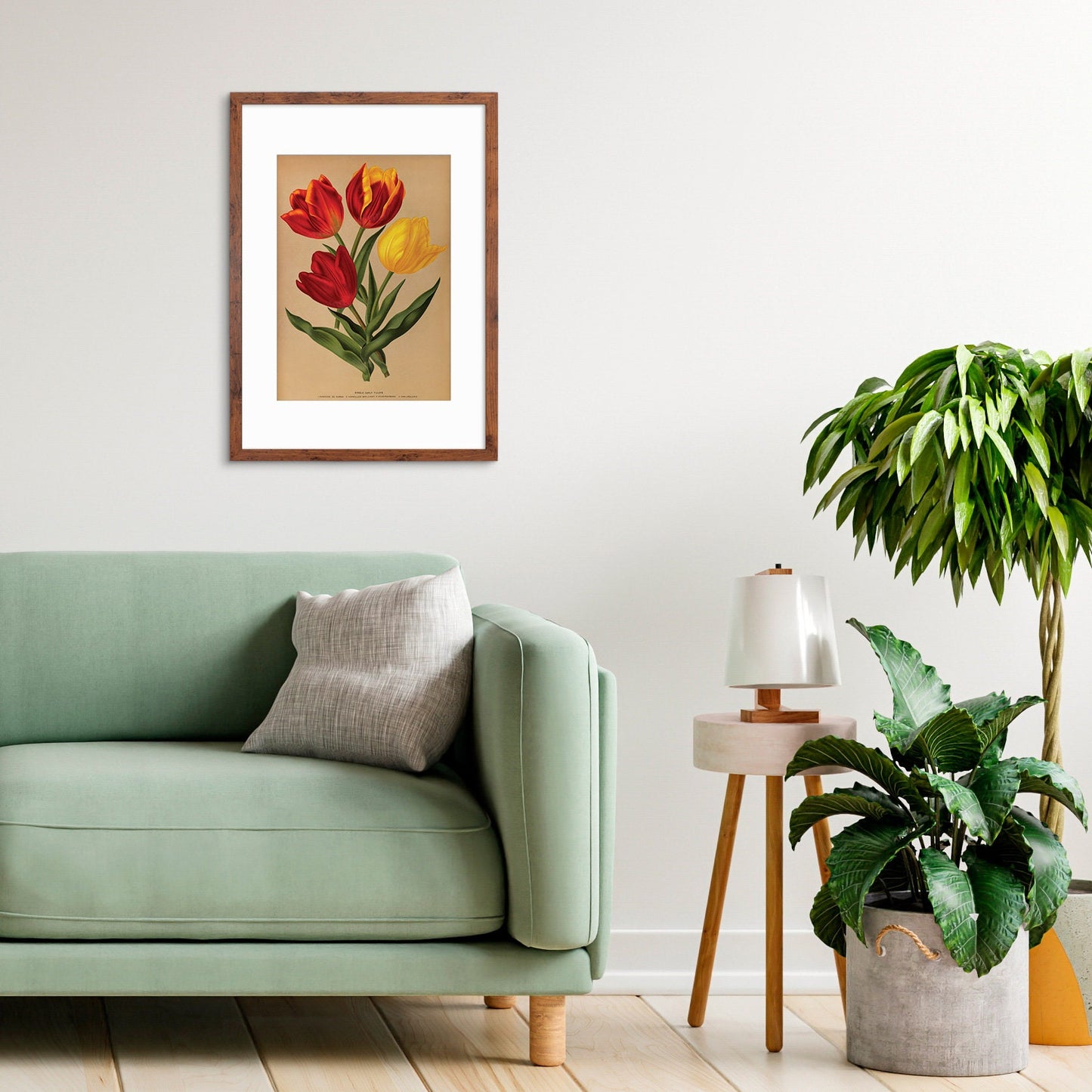 Antique Botanical Art Print Poster Vintage Wall Art Flowers Floral Tulips Red Nature Leaf Plant Illustration Victorian Herbs Beautiful A3