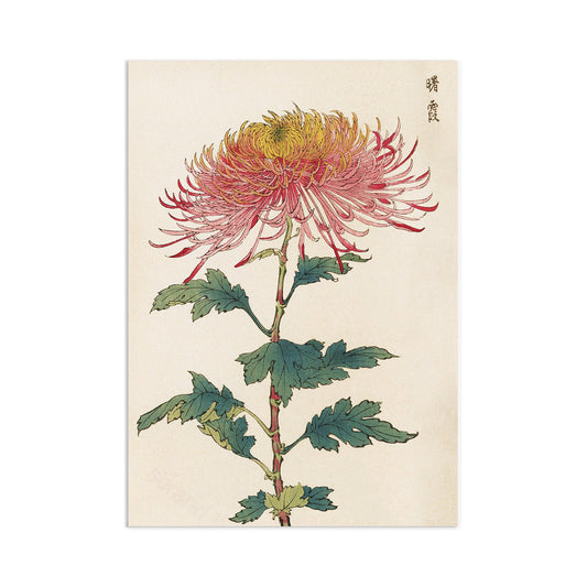 Japanese Ukiyo-e Art Print Poster Woodblock Wall Art Keika Hasegawa Chrysanthemums Flowers Landscape Nature Beautiful Japan Calligraphy A3