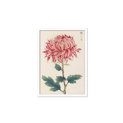 Framed Mounted Japanese Ukiyo-e Wall Art Print Poster Woodblock Keika Hasegawa Chrysanthemums Flowers Landscape Nature Beautiful Calligraphy