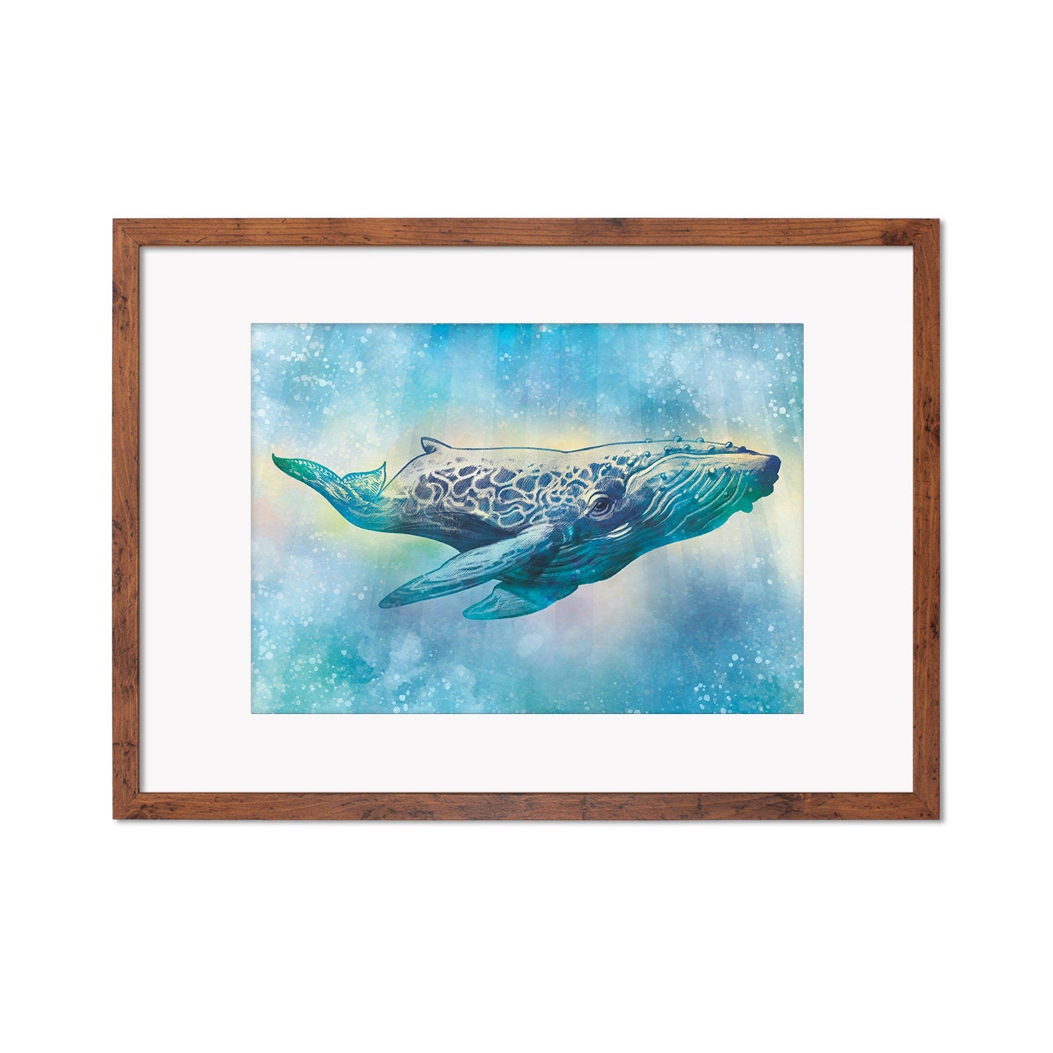 Humpback Whale Art Print Poster Wall Decor Framed Mounted Watercolour Pencil Drawing Frame Sea Orca Dolphin Ocean Nature Planet Earth A3 A2