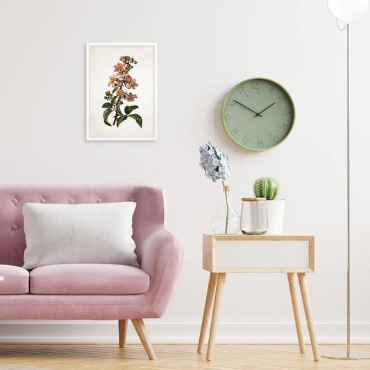 Framed Mounted Antique Botanical Art Print Poster Vintage Wall Flowers Floral Bramble Blackberry Nature Leaf Plant Illustration Victorian A2
