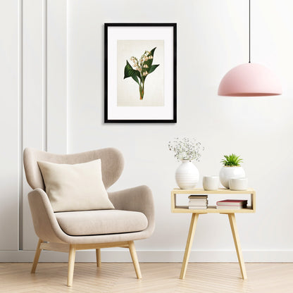 Framed Mounted Antique Botanical Art Print Poster Vintage Wall Flowers Floral Lily Of The Valley Nature Leaf Plant Illustration Victorian