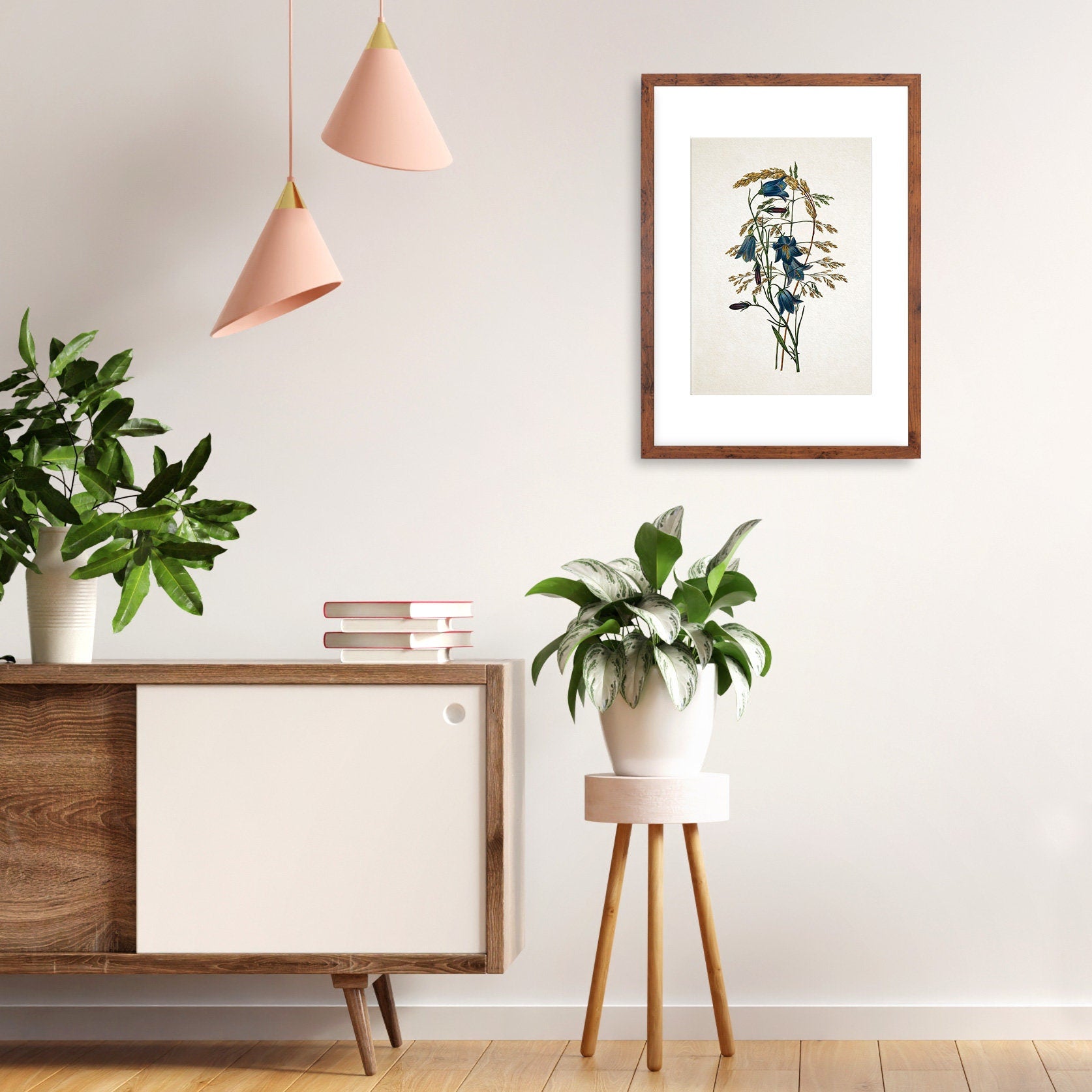 Framed Mounted Antique Botanical Art Print Poster Vintage Wall Flowers Floral Bluebell Harebell Nature Leaf Plant Illustration Victorian A2