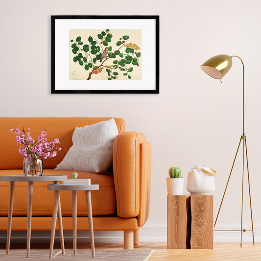 Framed Mounted Indian Jujube Tree Art Vintage Print Poster Antique Sheikh Zain al-Din Painting Nature Birds Butterflies Georgian Victorian