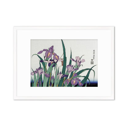Japanese Art Hokusai Framed Mounted Ukiyo-e Wall Decor Print Poster Woodblock Irises Flowers Landscape Insects Calligraphy Beautiful A2 A3