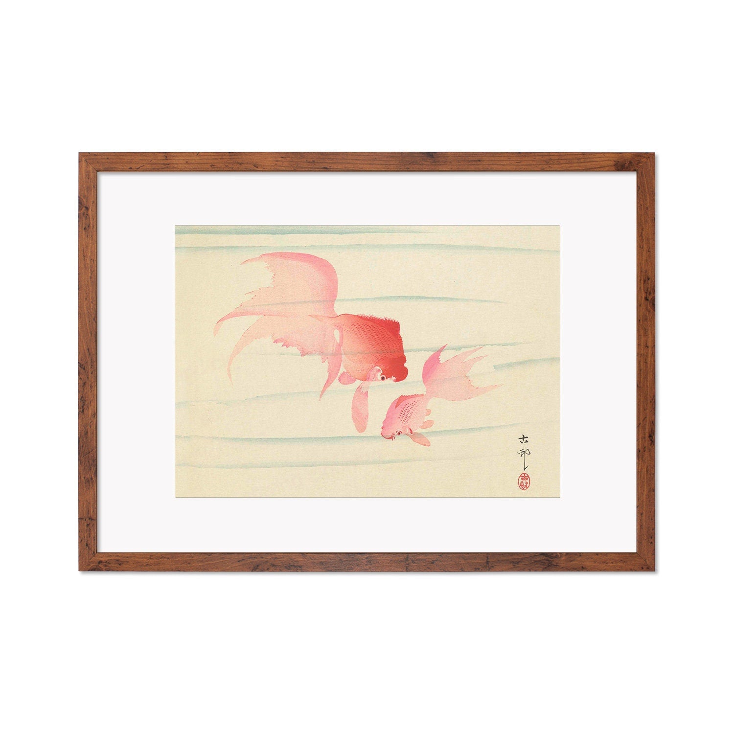Japanese Art Goldfish Framed Mounted Ukiyo-e Wall Decor Print Poster Woodblock Koson Shoson Two Veil Tails Fish Beautiful Watercolour Nature