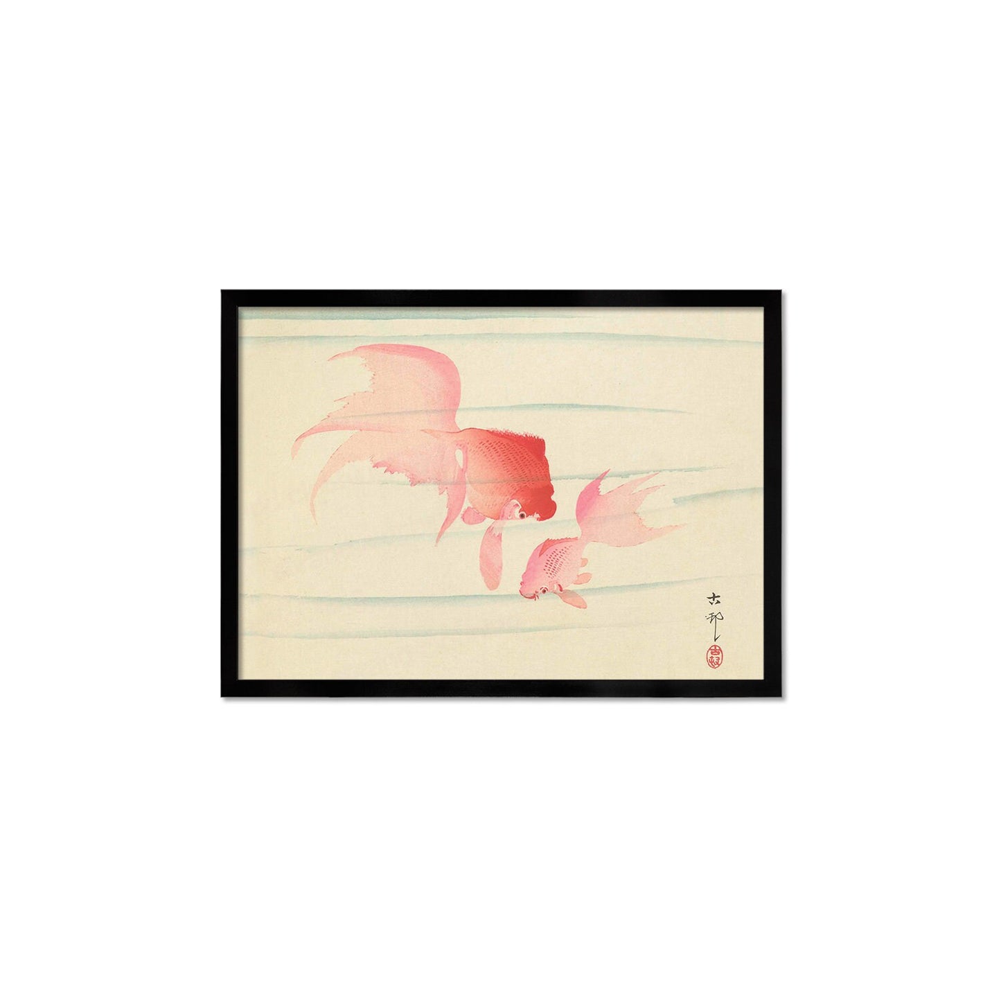 Japanese Art Goldfish Framed Mounted Ukiyo-e Wall Decor Print Poster Woodblock Koson Shoson Two Veil Tails Fish Beautiful Watercolour Nature