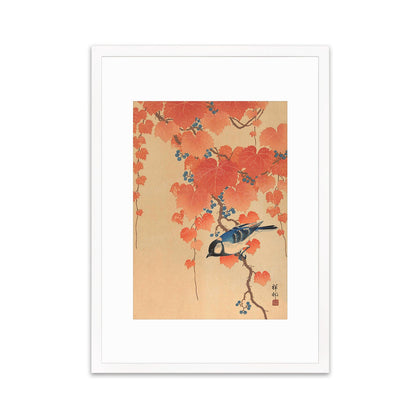 Japanese Art Great Tit Maple Print Poster Woodblock Ukiyo-e Ohara Koson Shoson Leaves Ivy Paulownia Bird Beautiful Aesthetic Kacho-e A3 A2