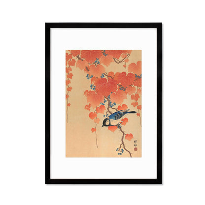 Japanese Art Great Tit Maple Print Poster Woodblock Ukiyo-e Ohara Koson Shoson Leaves Ivy Paulownia Bird Beautiful Aesthetic Kacho-e A3 A2
