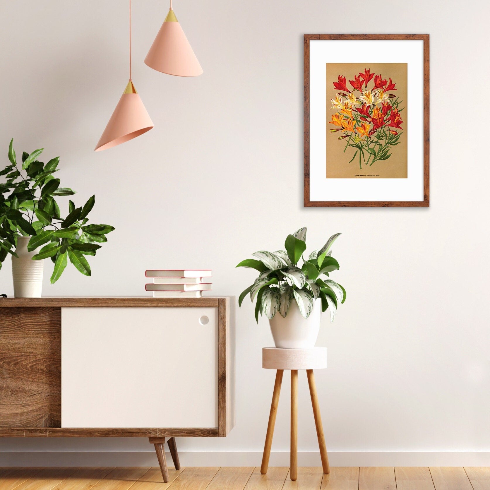 Alstroemeria Lily Framed Mounted Wall Art Decor Print Poster Botanical Antique Vintage Retro Victorian Illustration Nature Beautiful Flower