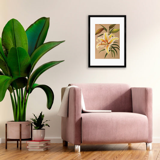 White Lilies Framed Mounted Wall Art Decor Print Poster Botanical Antique Vintage Retro Victorian Illustration Nature Lily Beautiful Flowers