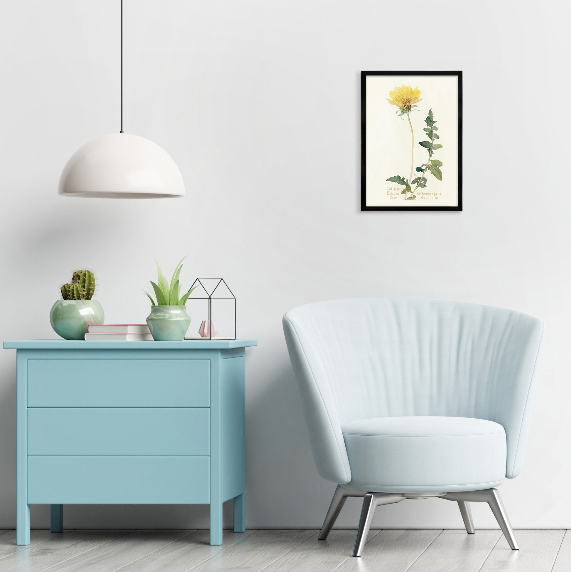 Framed Mounted Antique Botanical Art Print Poster Wall Decor Flowers Floral Dandelion Daisy Nature Leaf Plant Illustration Edwardian Elegant