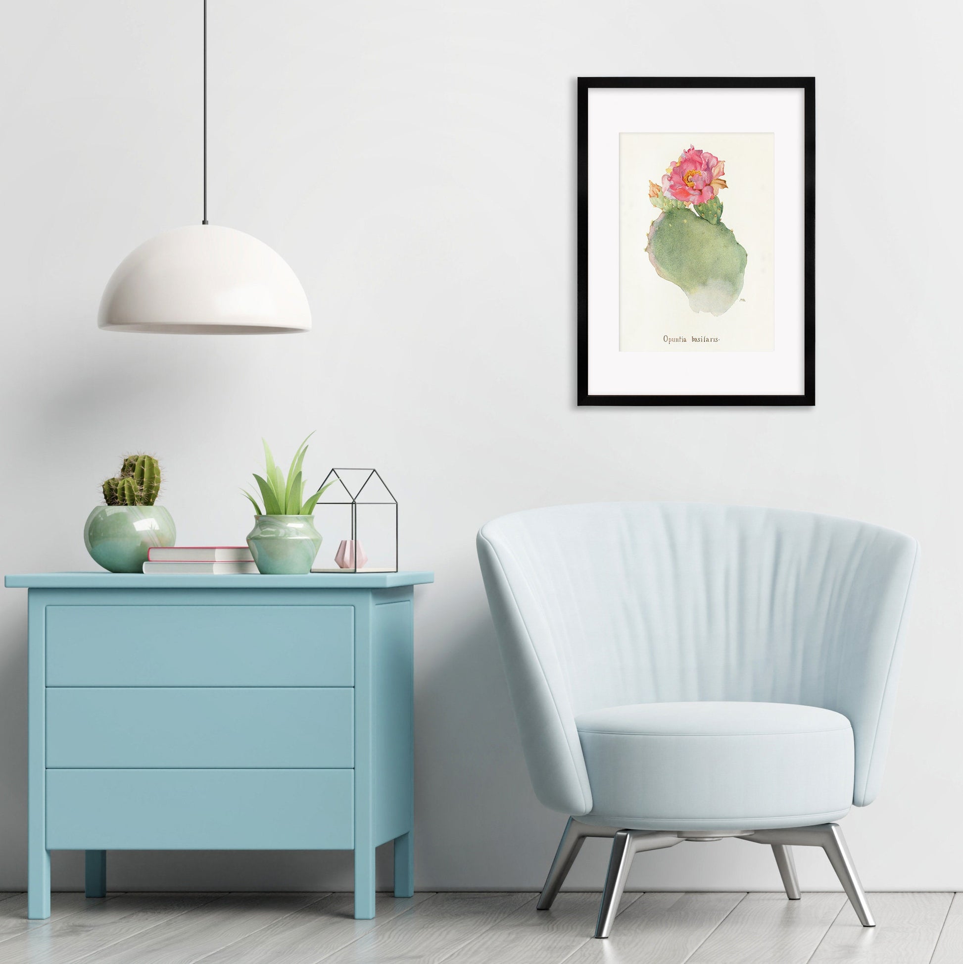 Framed Mounted Antique Botanical Art Print Poster Wall Flowers Floral Cactus Cacti Succulents Nature Leaf Plant Illustration Edwardian A2