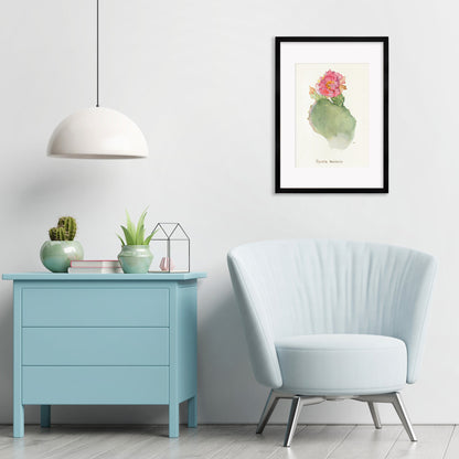Framed Mounted Antique Botanical Art Print Poster Wall Flowers Floral Cactus Cacti Succulents Nature Leaf Plant Illustration Edwardian A2