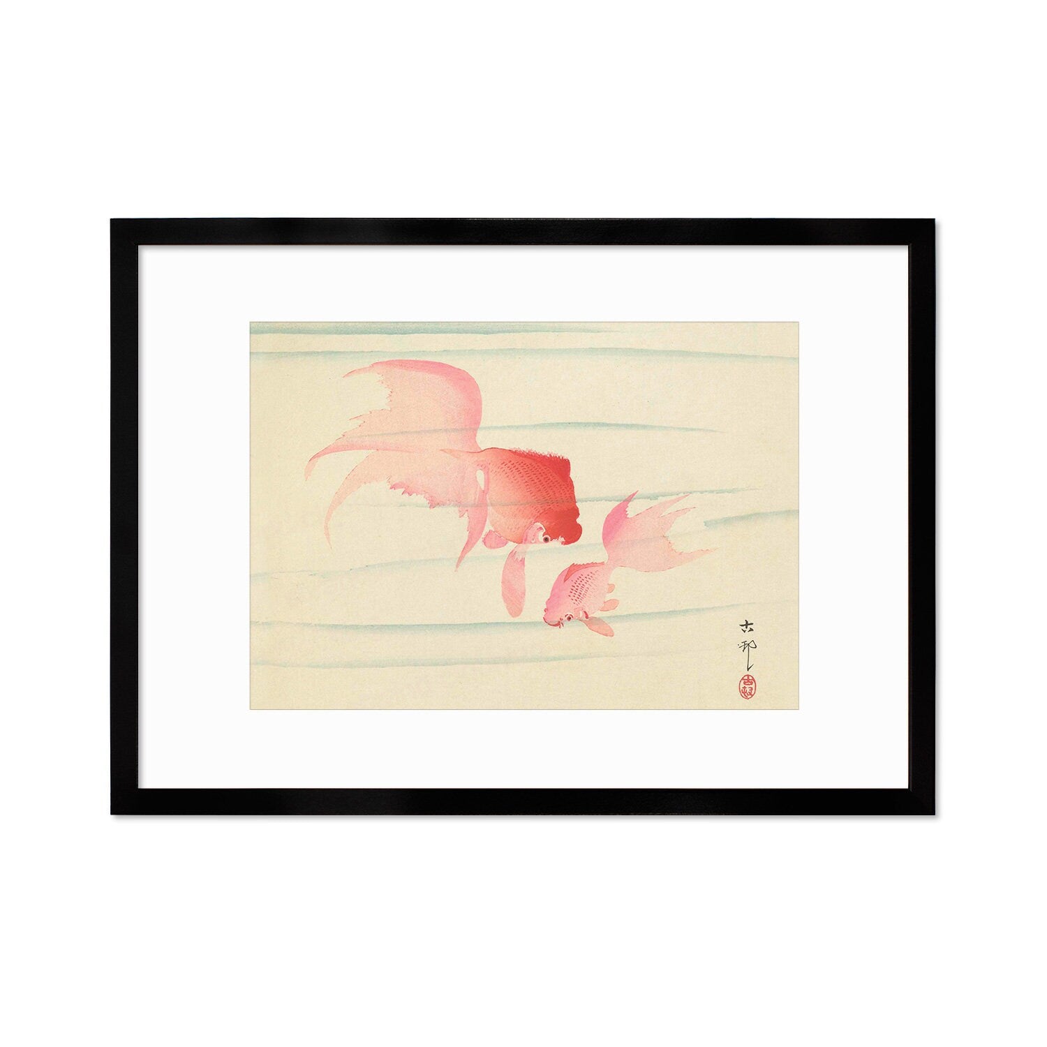 Japanese Art Goldfish Framed Mounted Ukiyo-e Wall Decor Print Poster Woodblock Koson Shoson Two Veil Tails Fish Beautiful Watercolour Nature